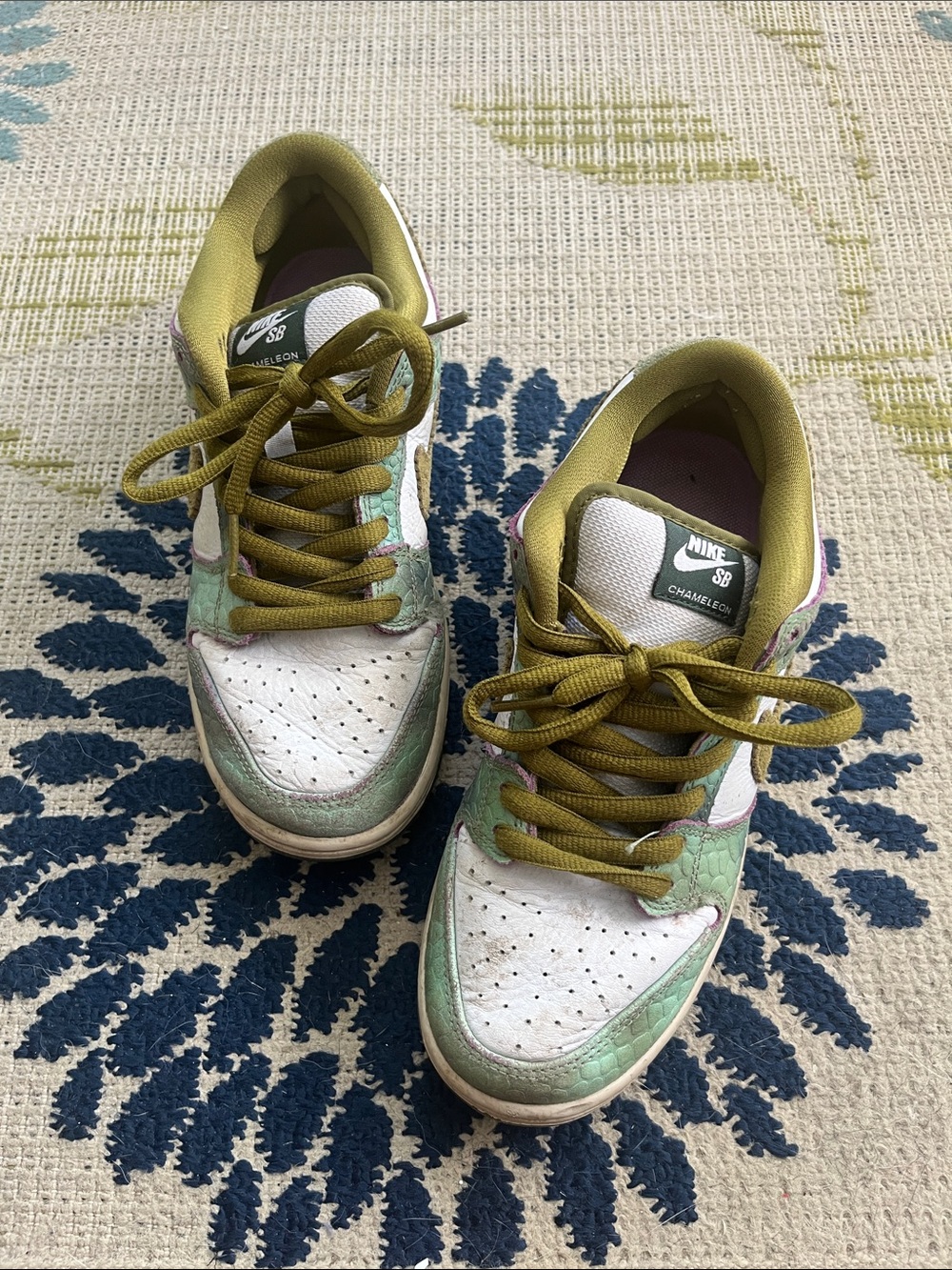 Nike SB Chameleon Low Top Sneakers in White and Green